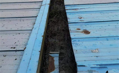 大连钢结构厂房彩板板屋面漏水要怎么处理？