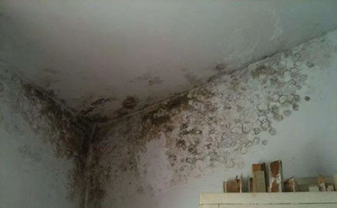 天花板漏水怎么做，天花板怎么做防水？