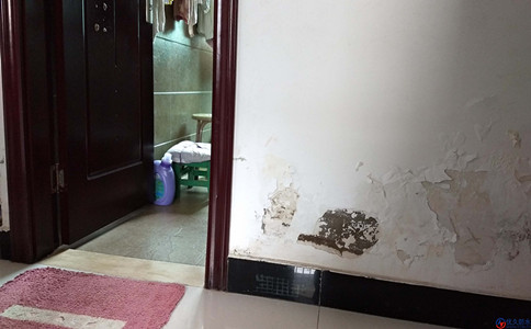 ​大连防水支招房屋漏水，墙皮脱落该怎么办